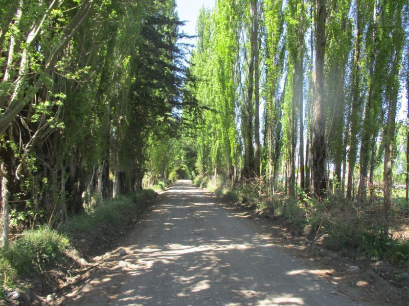 SE VENDEN PARCELAS CAMINO EL PERAL, LOS ANGELES