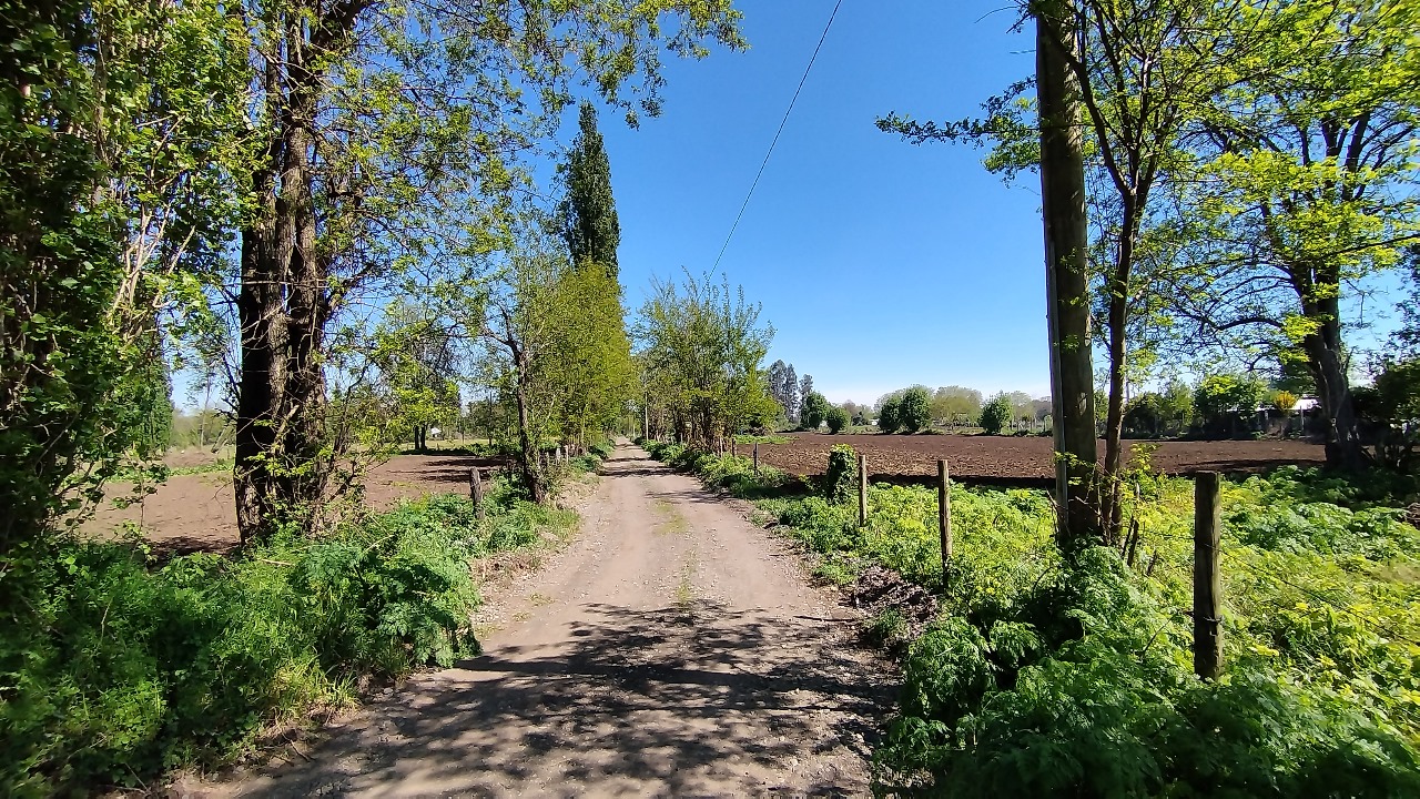 SE VENDE TERRENO DE 11.51 HECTAREAS CAMINO EL PERAL